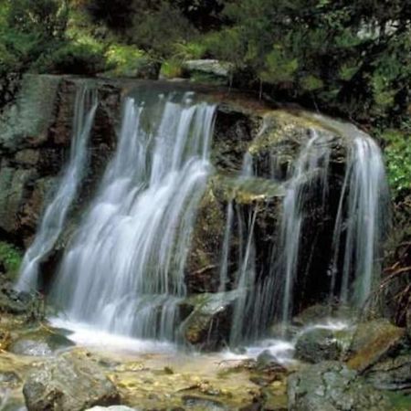 La Candela Cercedilla Luaran gambar